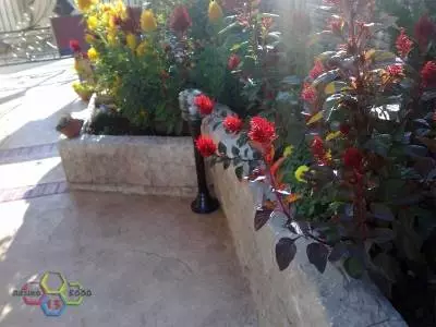 Дворове и алеи 2012